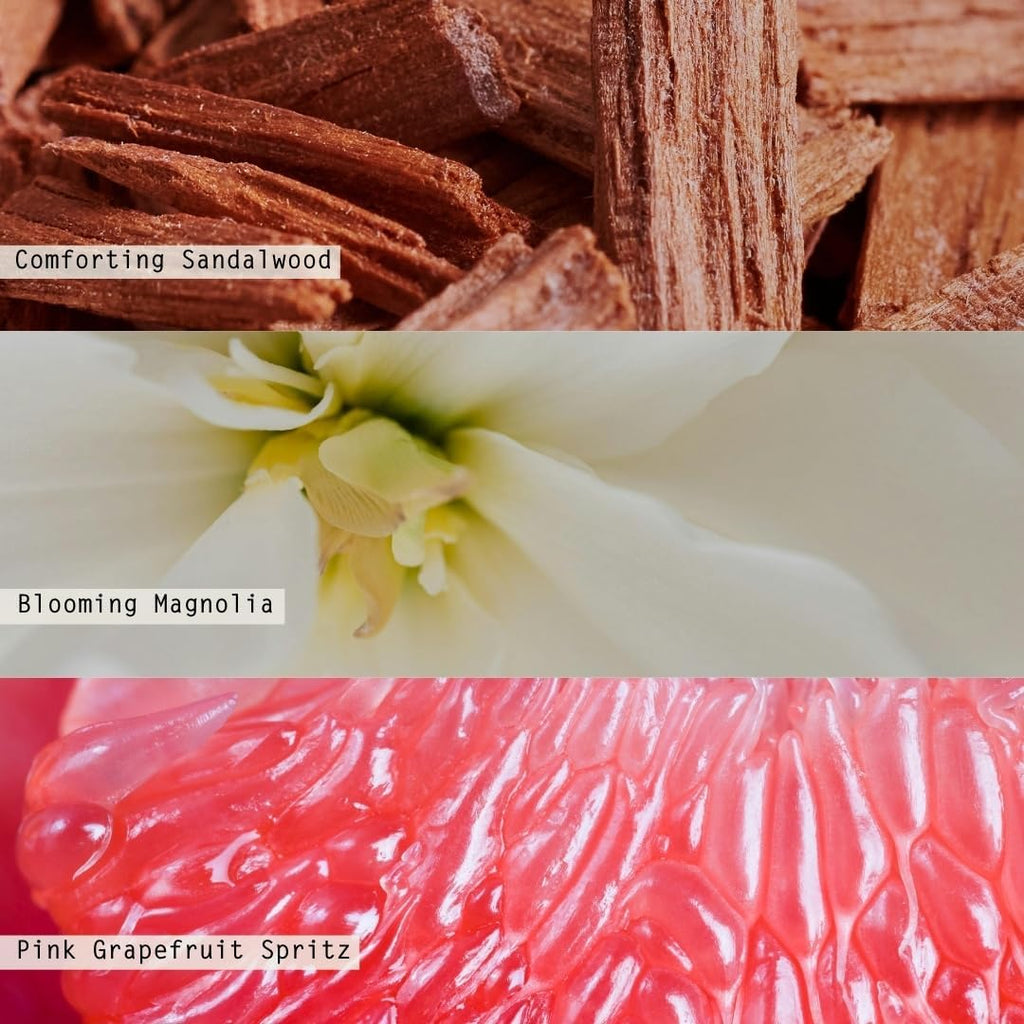Illume Beautifully Done Essentials Paloma Petal Statement Glass Scented Soy Candle